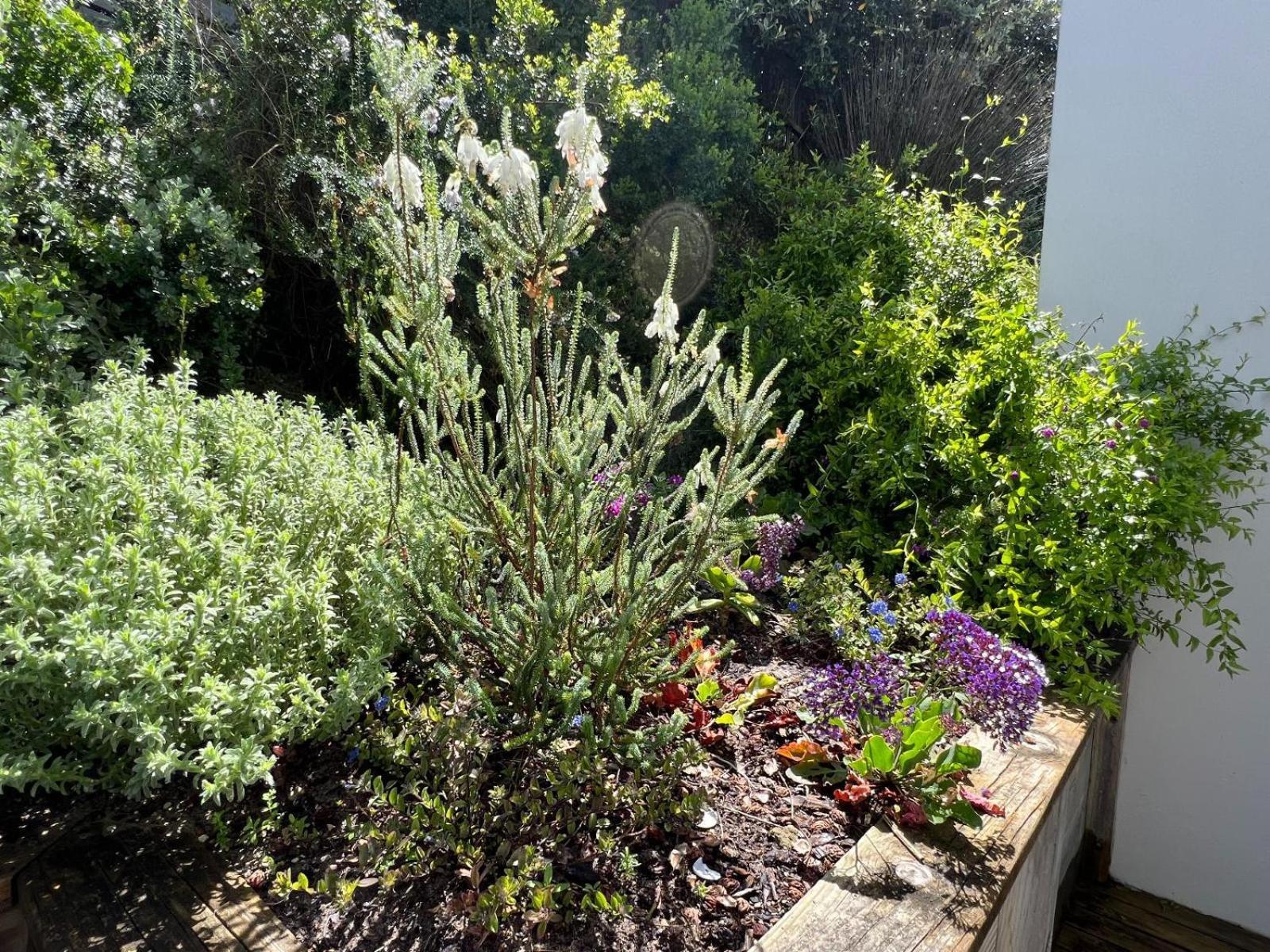 Christiana Lodge Plettenberg Bay Δωμάτιο φωτογραφία